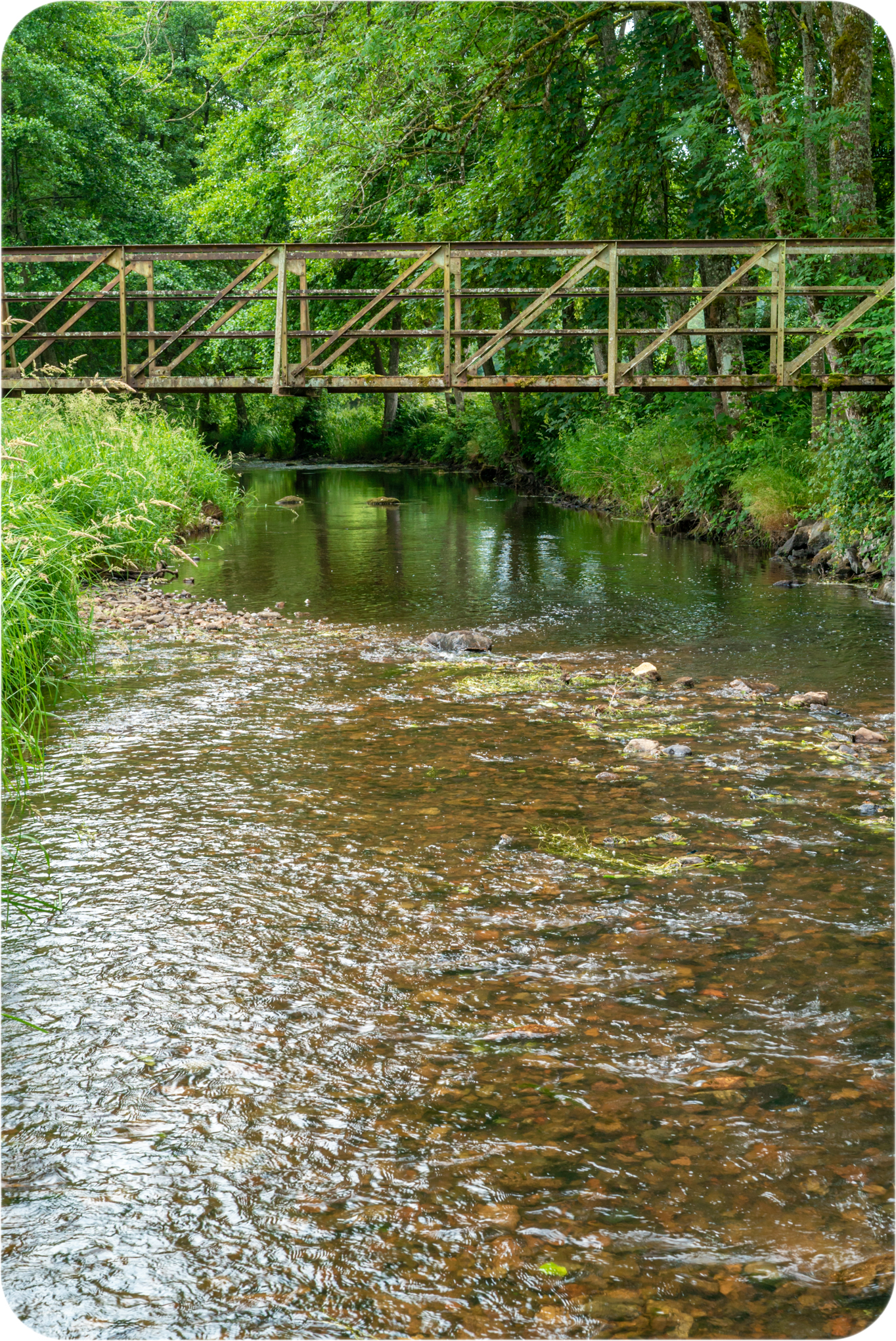 Morvan