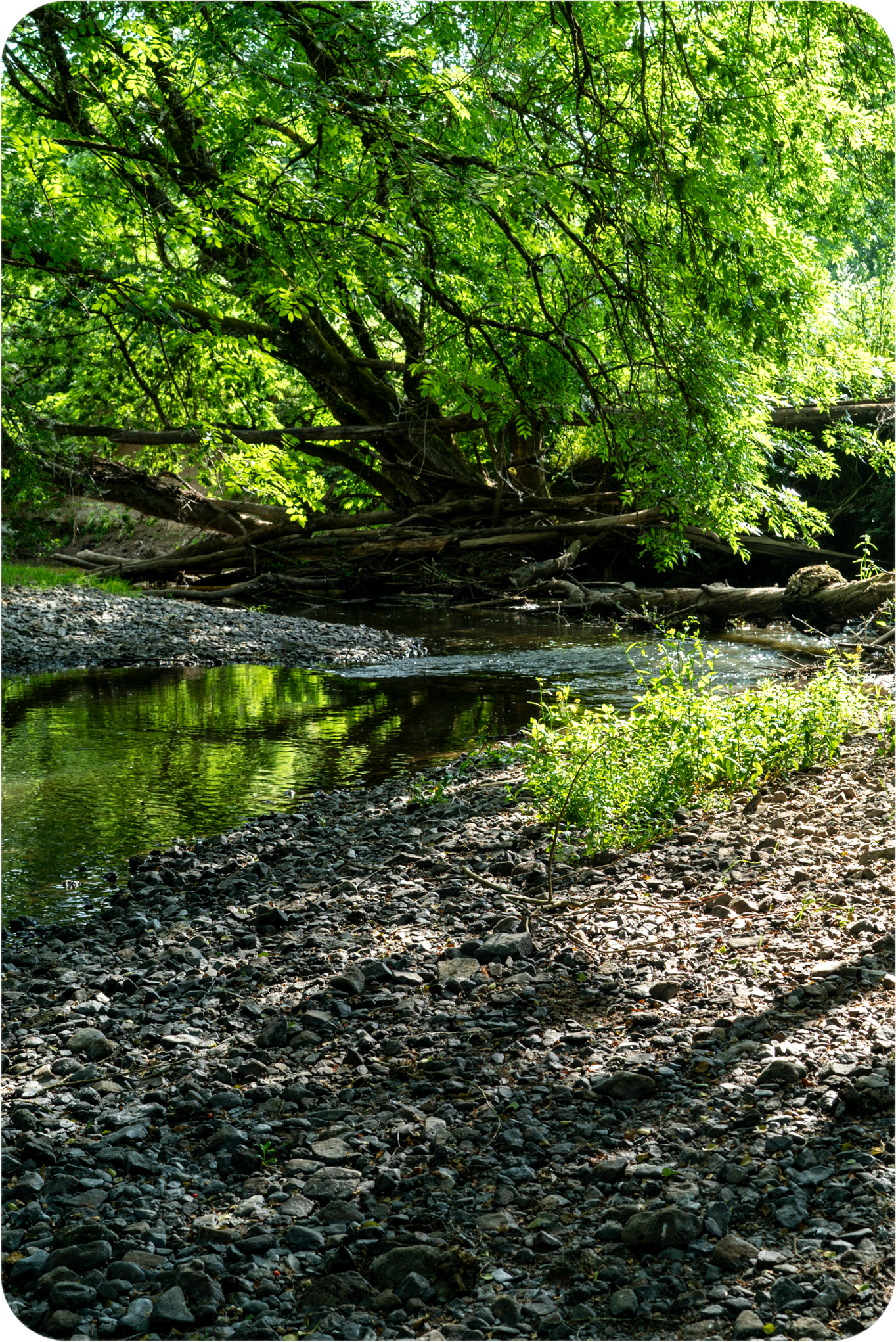 Morvan
