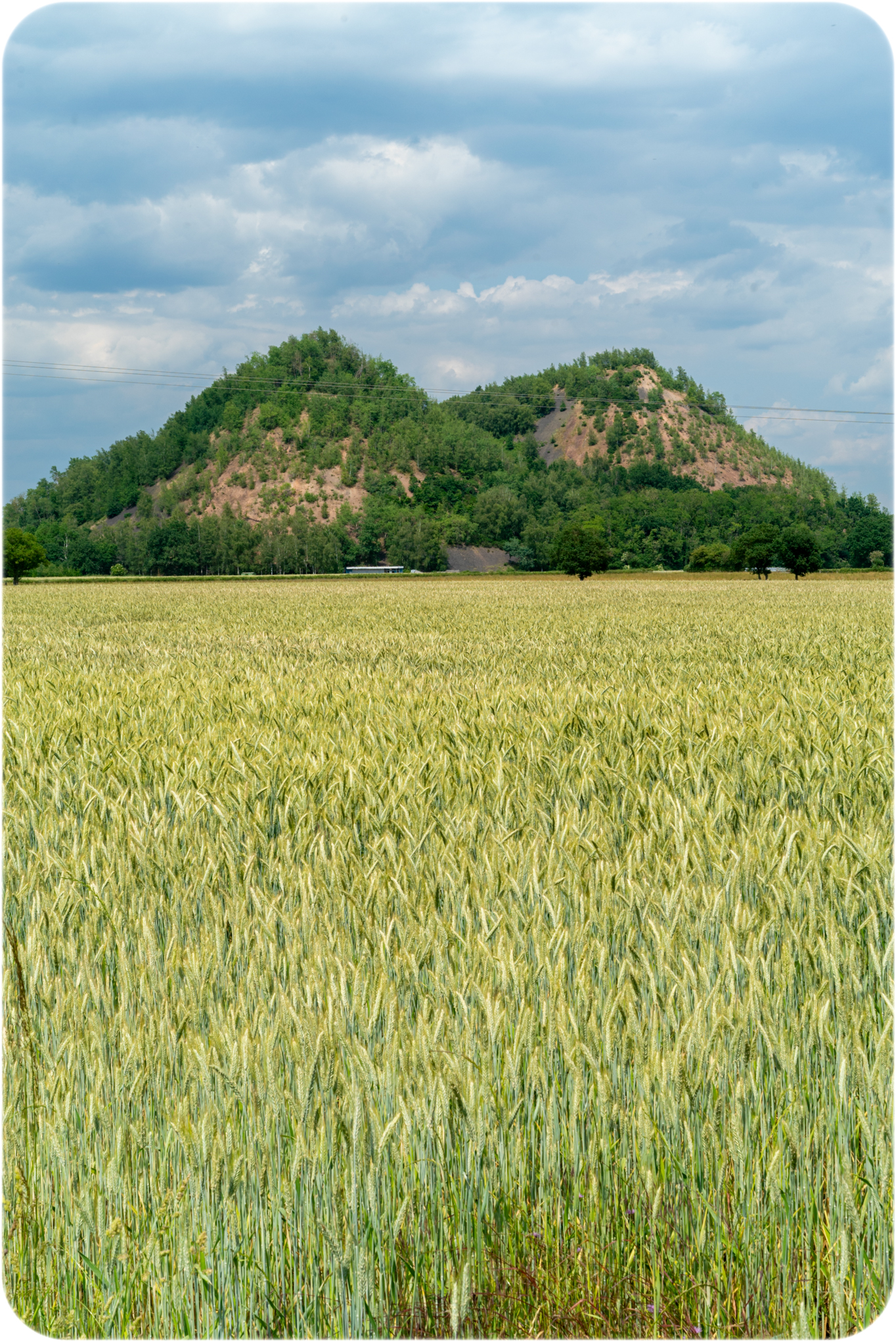 Autun, les Télots